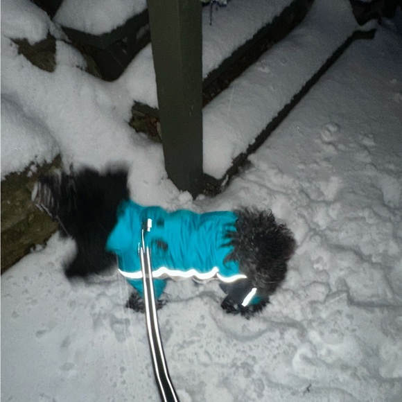 TOUCHDOG SNOWSUIT Reflective🌟 SMALL - Picture 4 of 6